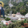 Άγιος Πορφύριος: Το άγχος το δημιουργεί η κατάργηση του θρησκευτικού αισθήματος